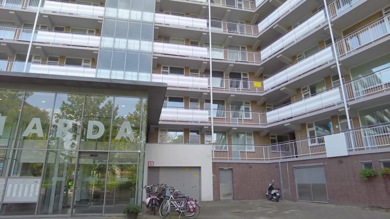 Video van Kelloggplaats 178