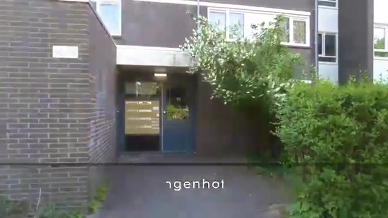 Video van Millingenhof 344
