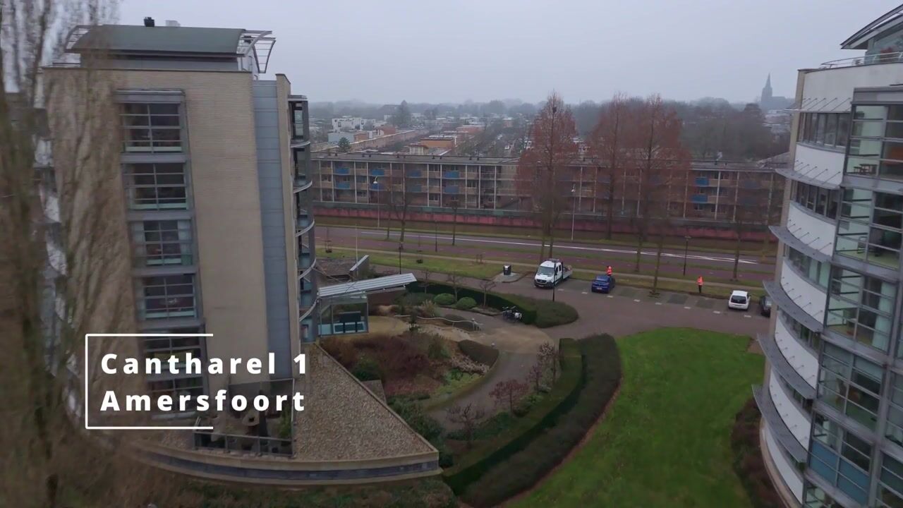 Video van Cantharel 1