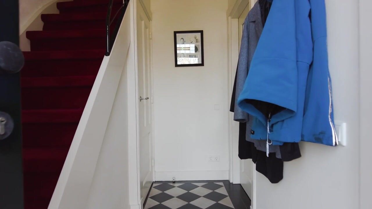 Video of Plantageweg 14