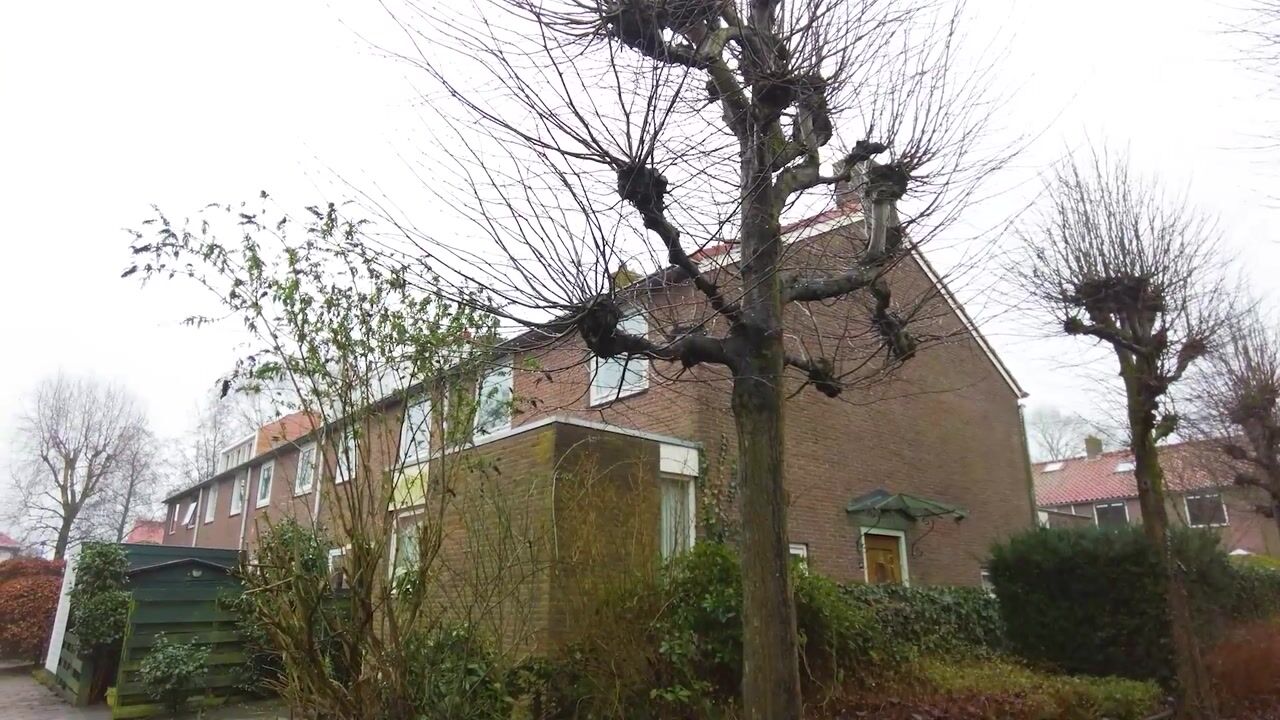 Video van van der Helstpark 17