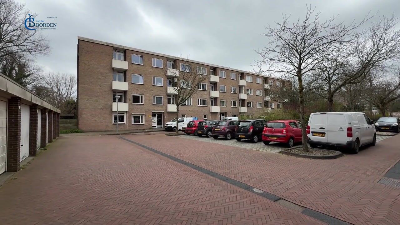 Video van Porcellishof 32