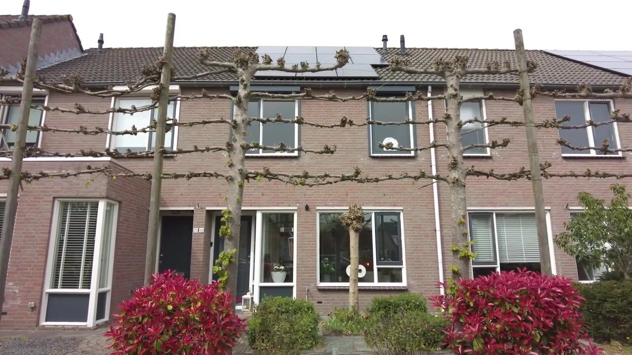 Video of Zandakker 18