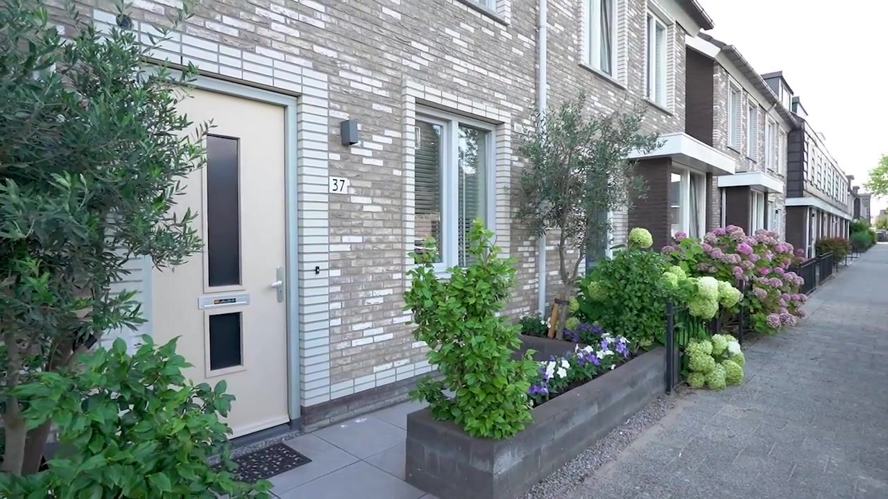 Video of Hoornsemeer 37