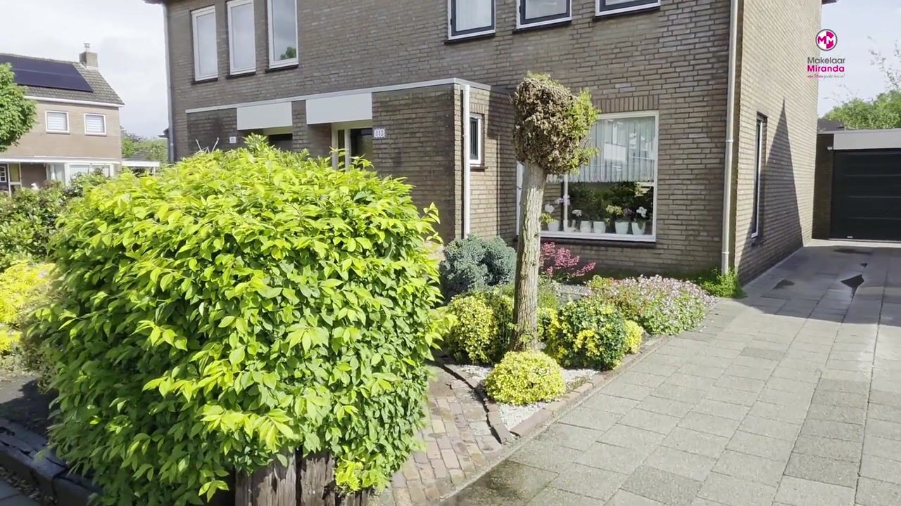 Video van Wildbaan 113