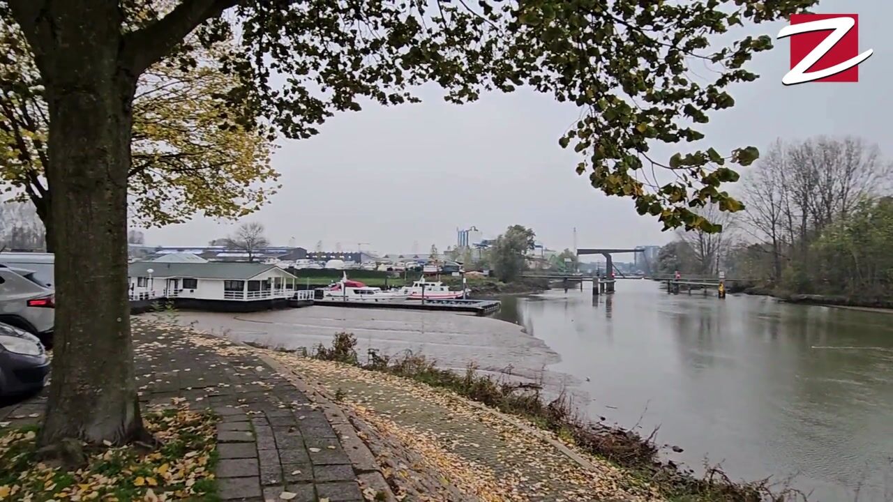 View video of Zuiddiepje 102