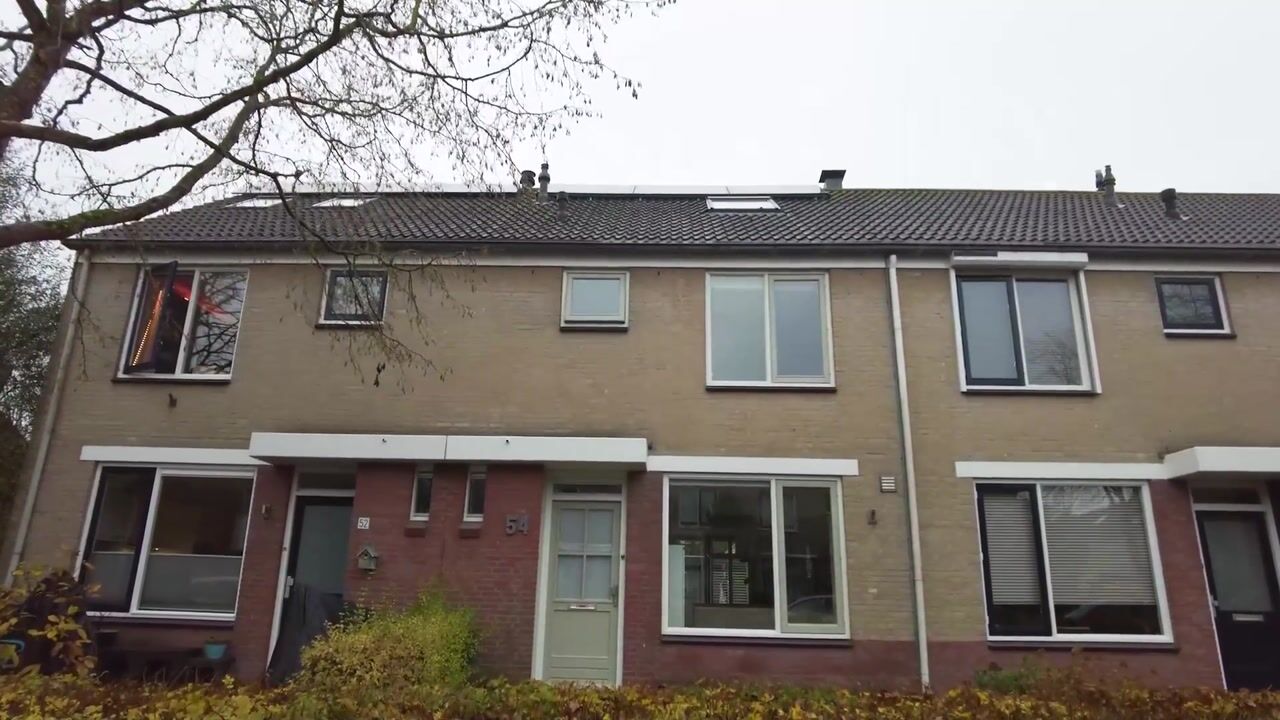 Video of Witte Klaver 54