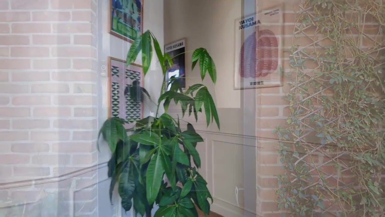 Video van Gruttostraat 8