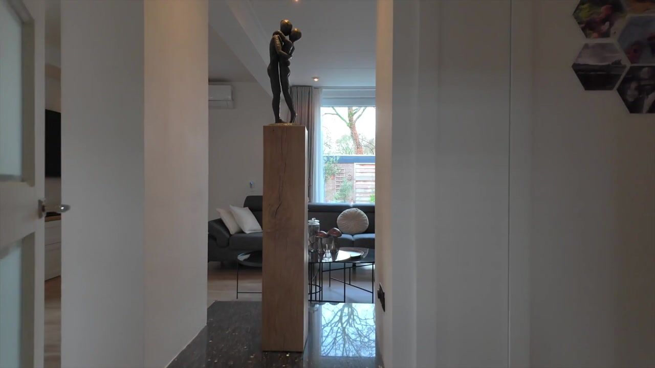 Video of Zonegge 17 9