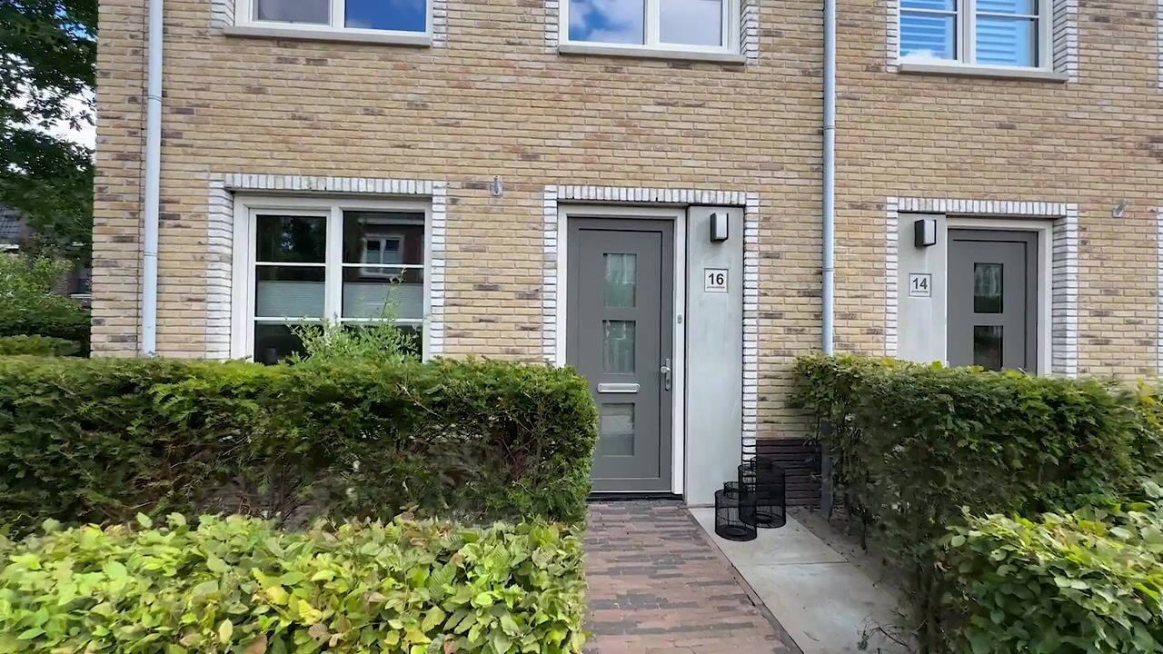 Video van Jeneverbes 16