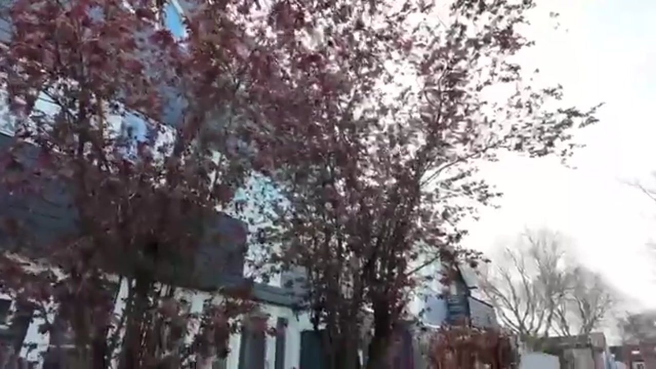 Video van Graaf Leopoldlaan 13