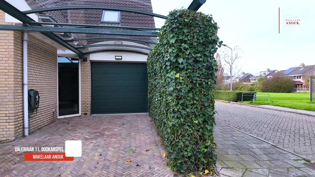 Video of Valeriaan 11