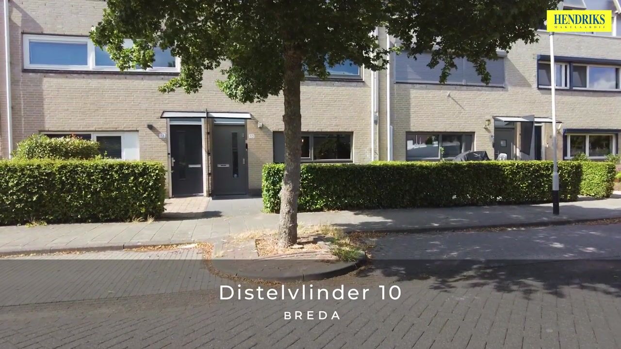 Video van Distelvlinder 10