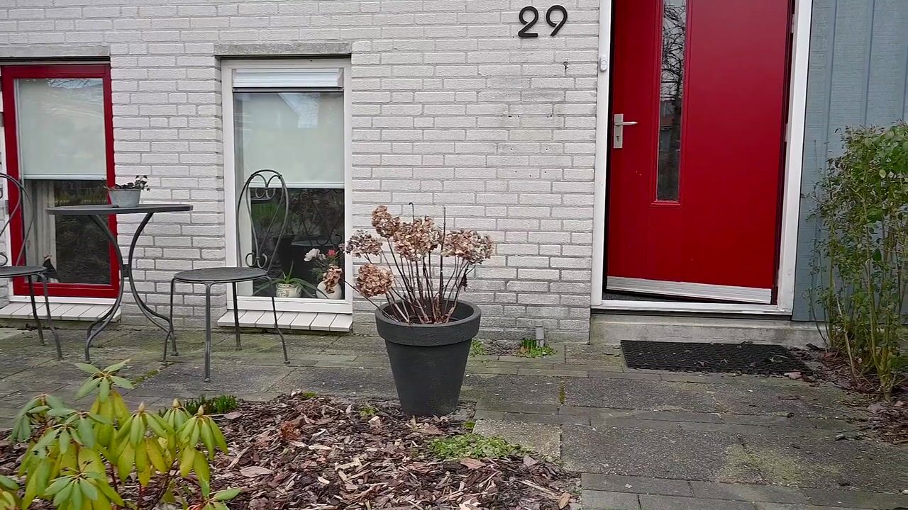 Video of de Kimen 29