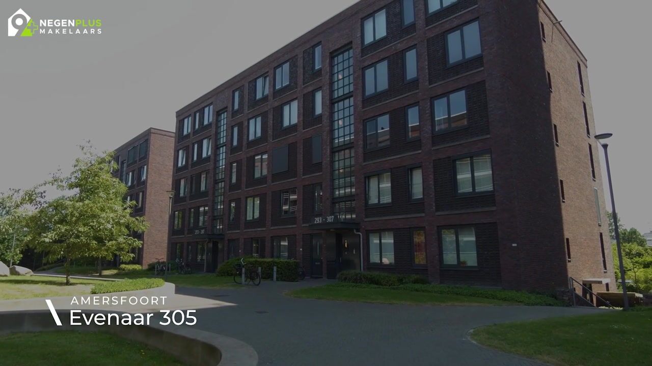 Video of Evenaar 305