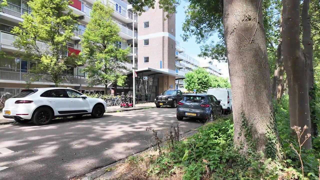 Video van Forellendaal 367