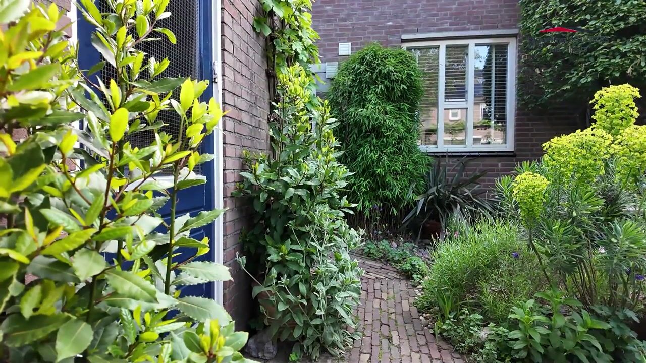 Video van Meerkoet 98
