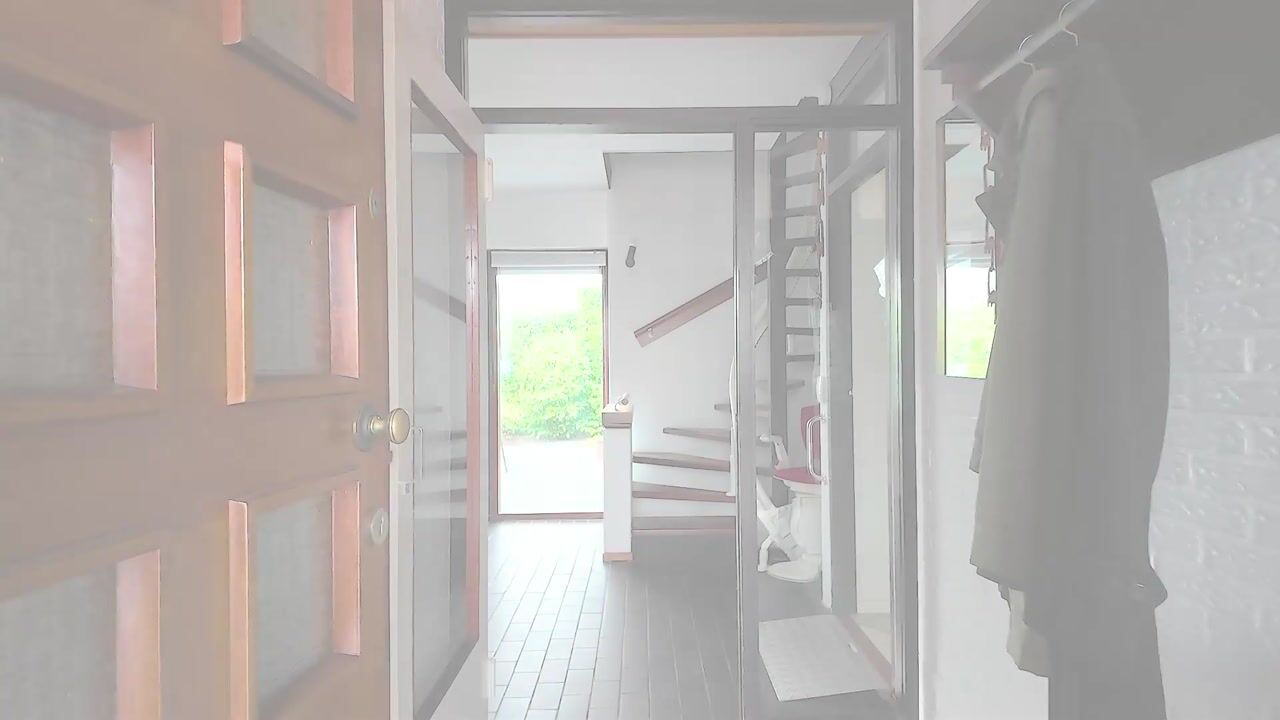 Video of Freesiastraat 11