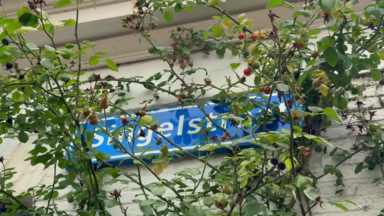 Video of Singelstraat 55