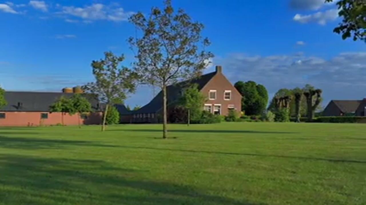 Video van Zandberg 19