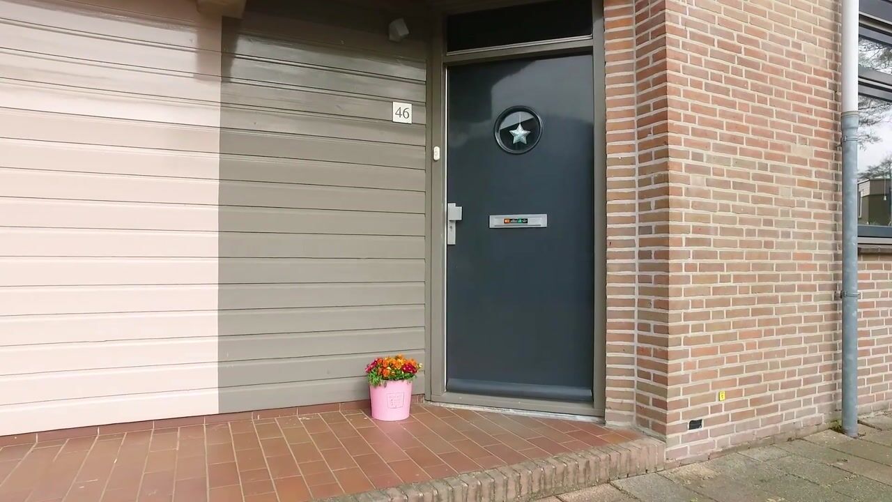 Video of Valkehorst 46