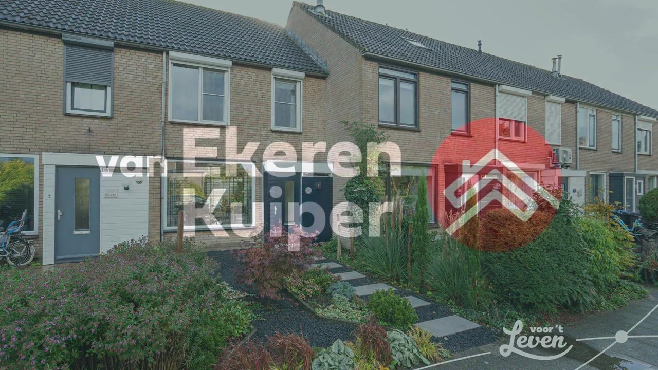 Video van Dimmerlaan 40