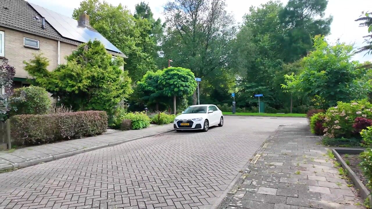 Video van van Halllaan 21
