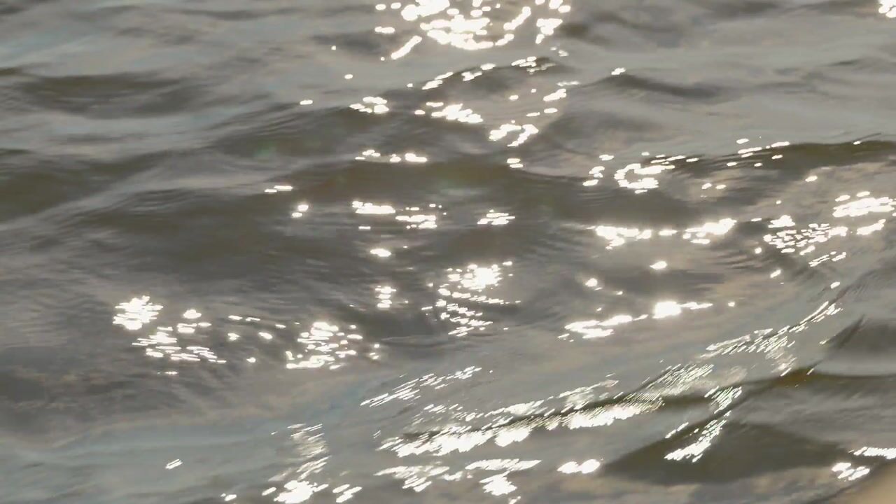 Video van Veendijk 1-A2