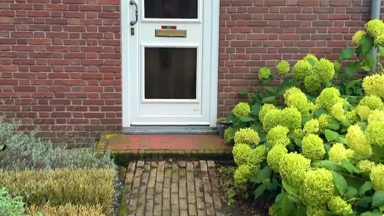 Video van Wolter ter Haarstraat 4