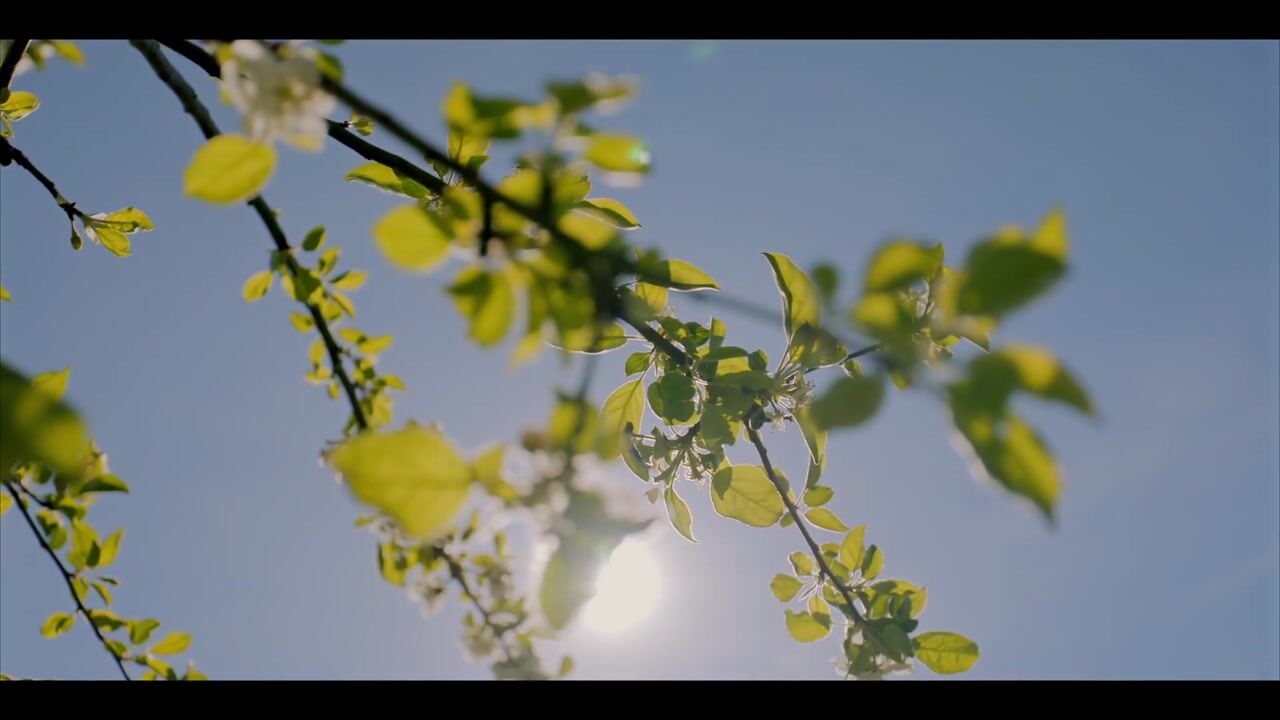 Video van Voordersteeg 4