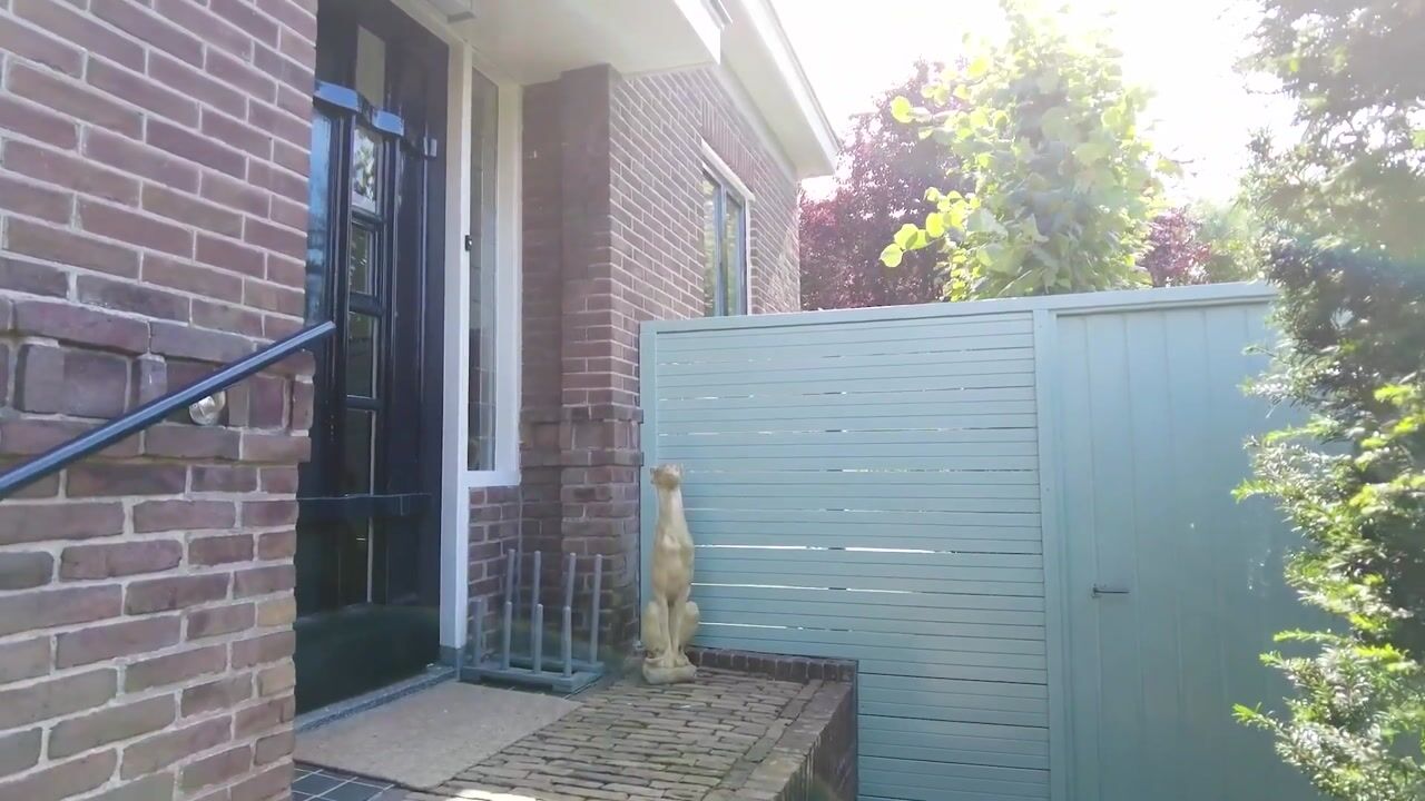 Video van Teijlingerlaan 53