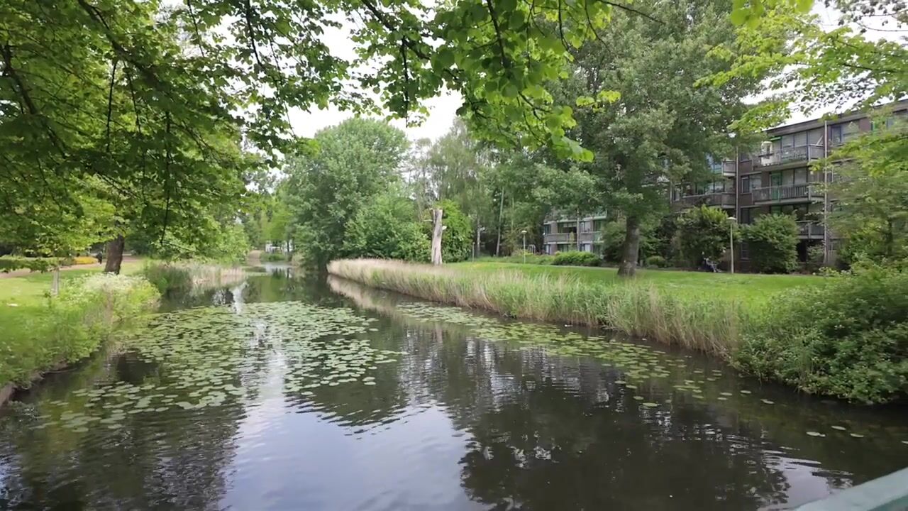 Video van Catharina Boudewijnshof 61