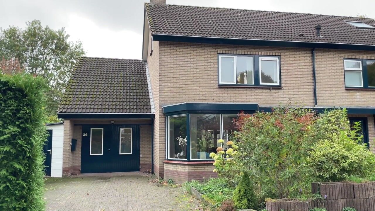 Video van van Goltsteinstraat 36