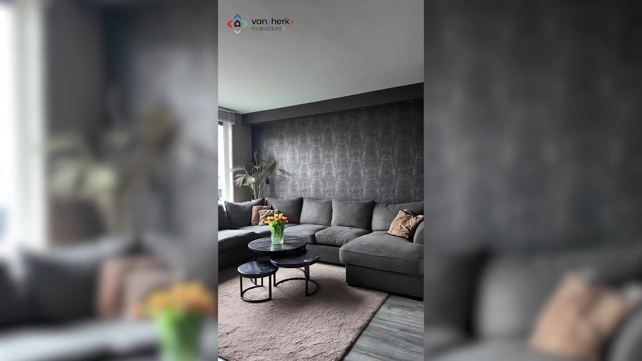 Video van Operalaan 41