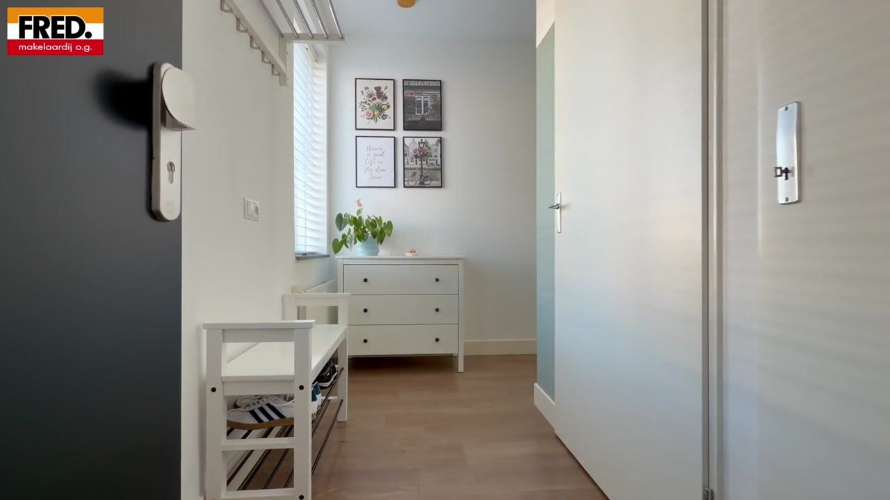 Video of Groene Kikker 4