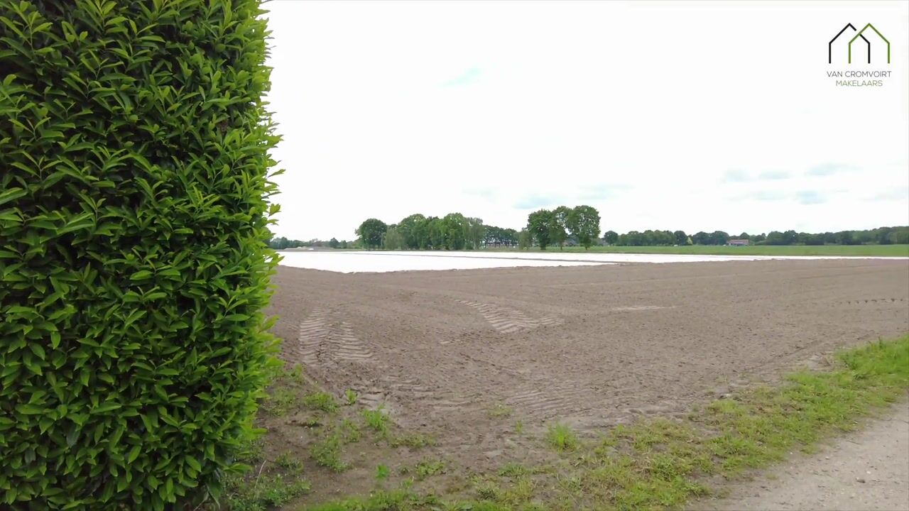 Video of Haardstraat 20