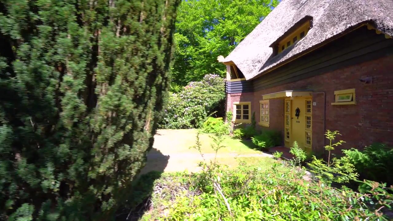 Video van Studler van Surcklaan 17