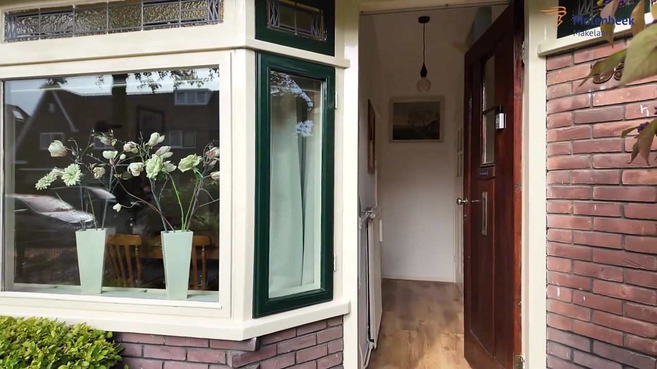 Video of Nepveulaan 95