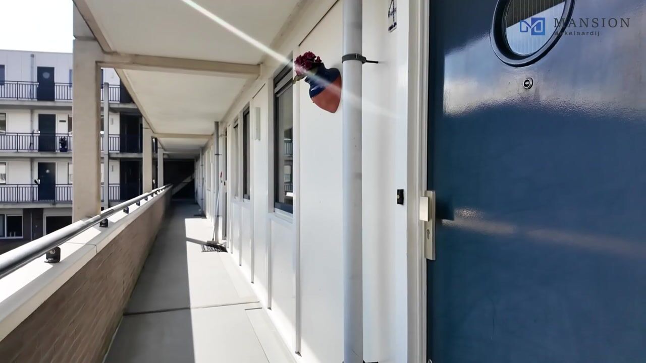 Video of Spuistraat 4