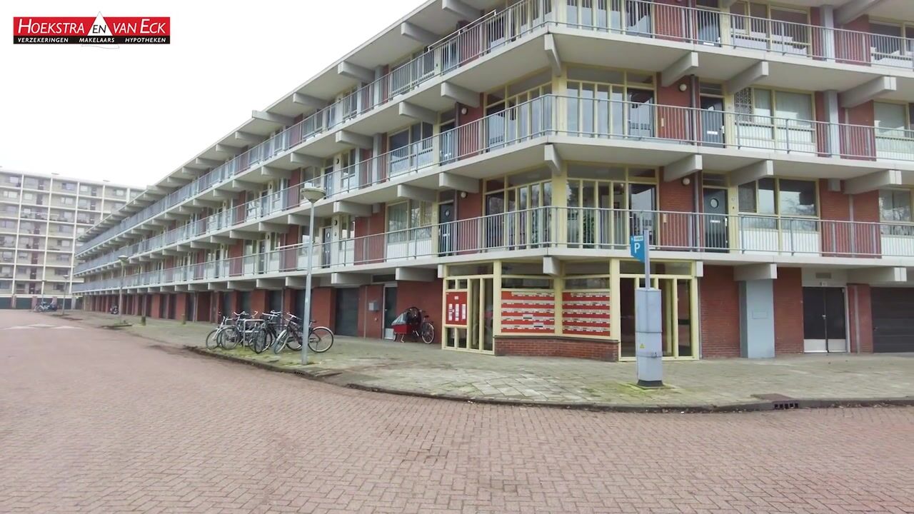 Video van Amerbos 81