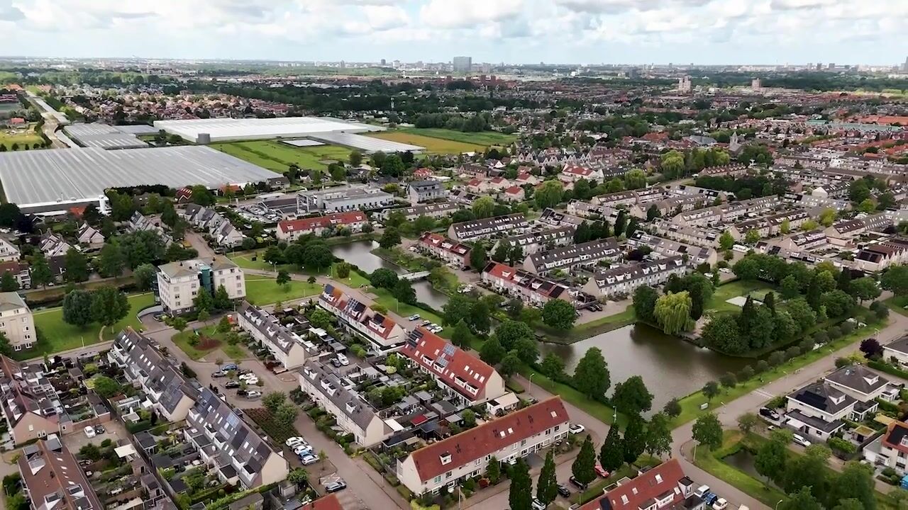 Video van Kievitsbloem 42