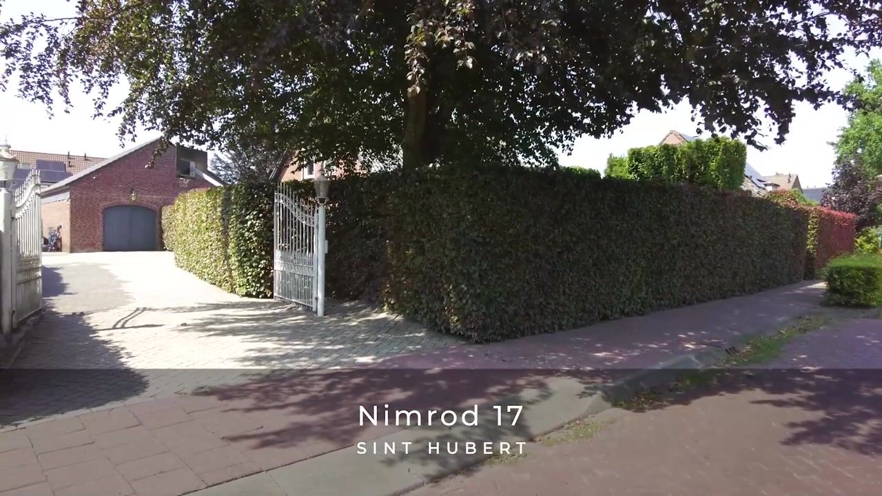 Video van Nimrod 17