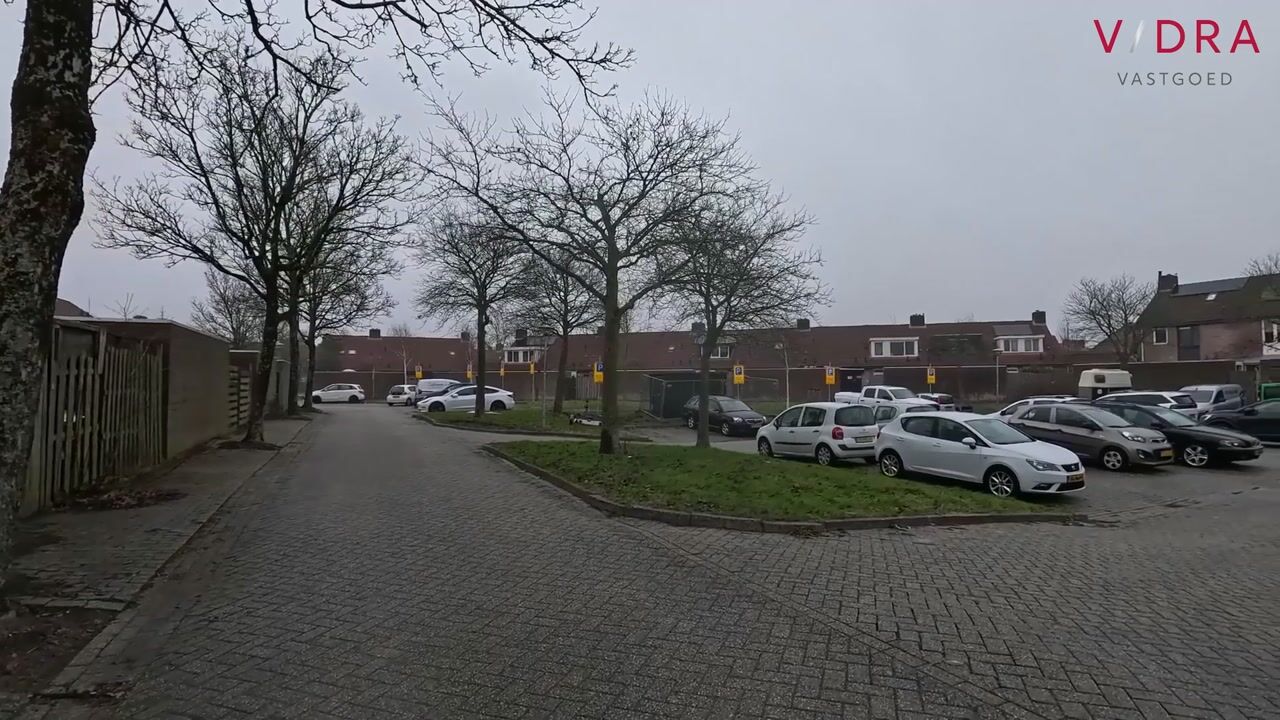 Video van Koolmees 28