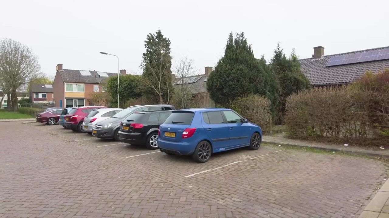 Video van Poelwijkstraat 2