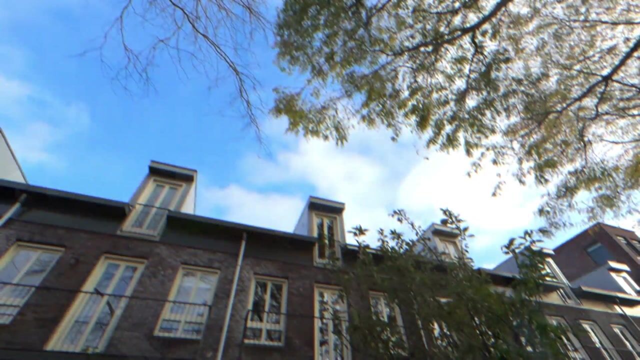 Video van Zilvermeeuwlaan 38