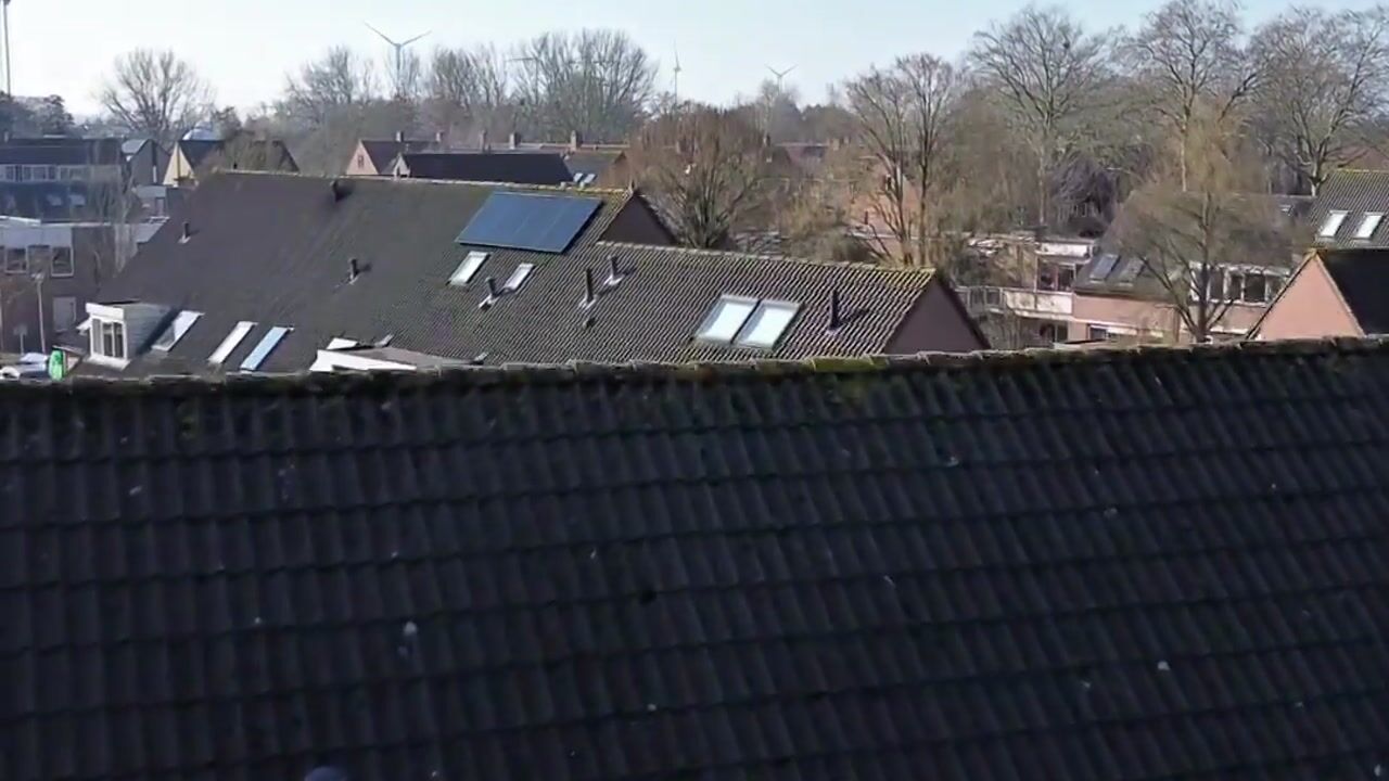 Video of Karperveen 155