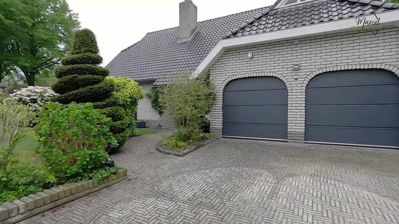 Video van Sierduif 2