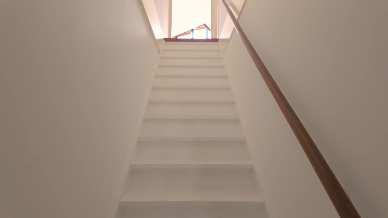 Video of Singel 455-F