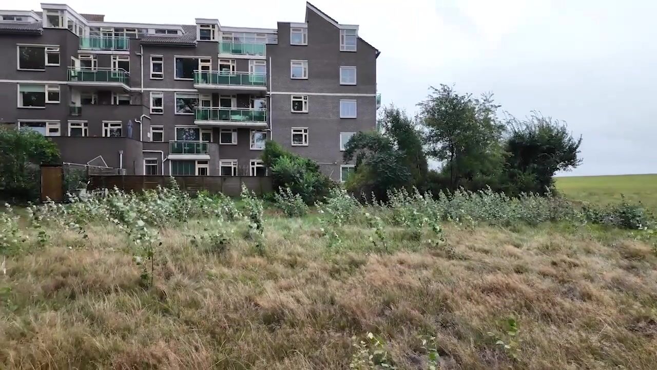 Video of Terpmeent 5