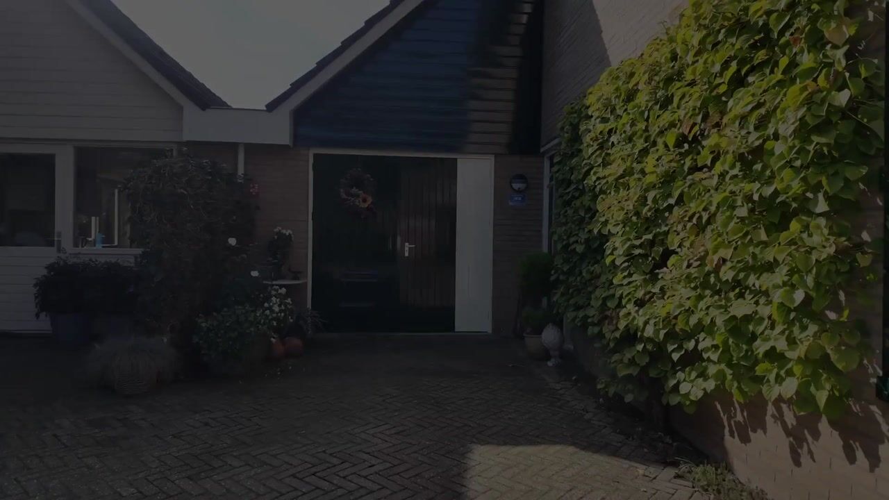 Video van Borgsche Rieten 95